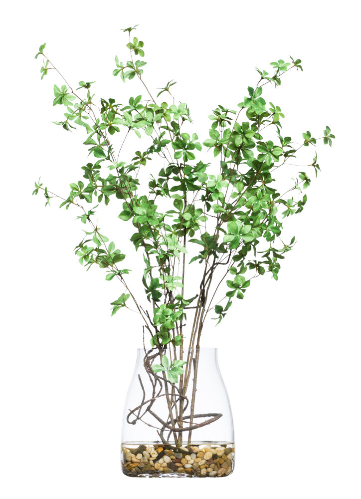 DO DAN WATERLIKE VASE