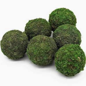 Moss balls