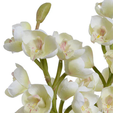 CYMBIDIUM STEMS IN TAPERED VASE