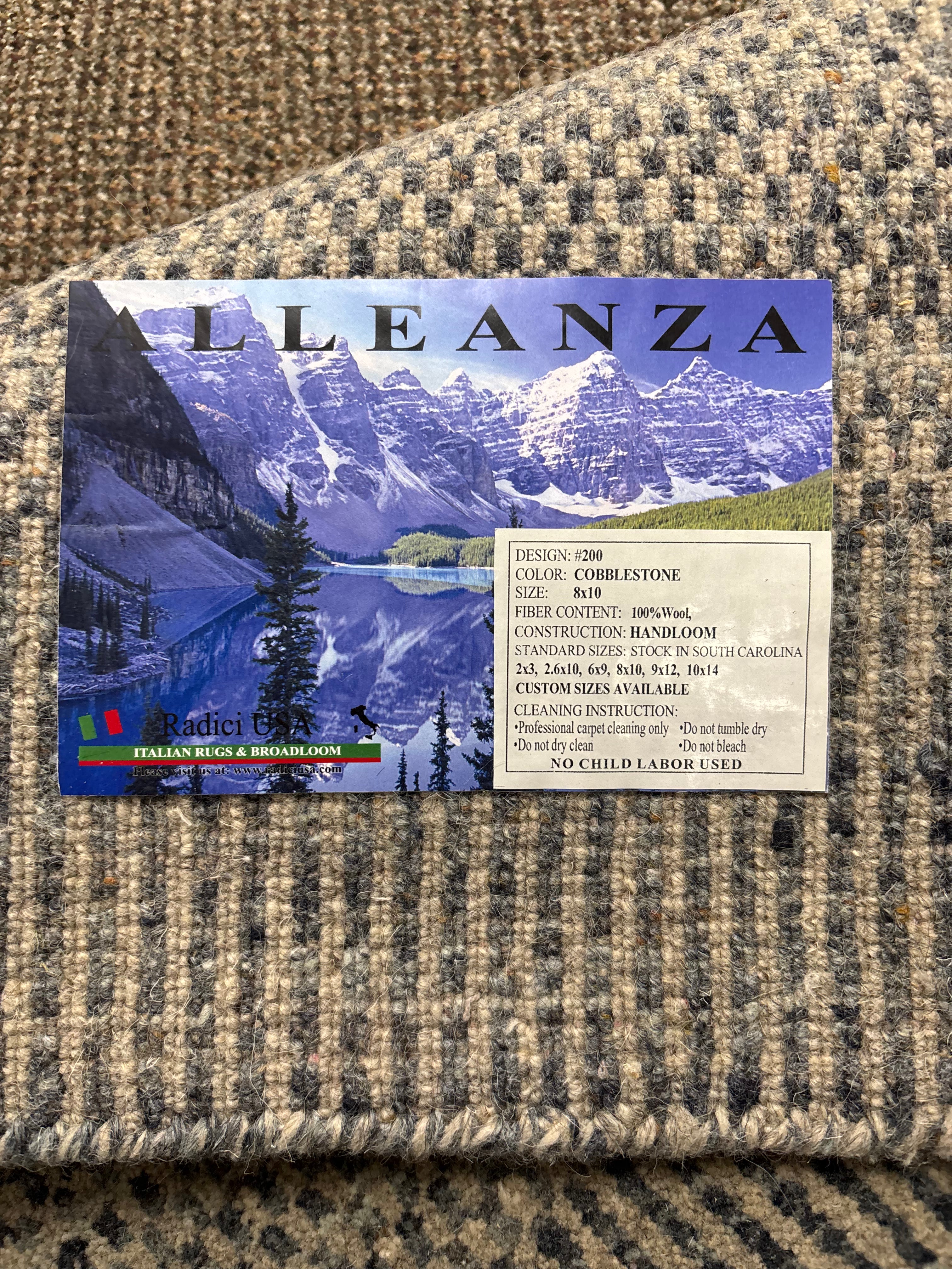 ALLEANZA RUG IN COBBLESTONE 8 X 10