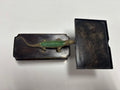 ALLIGATOR CARD HOLDER