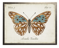 VINTAGE BOOKPLATE BUTTERFLY BLUE/BRN