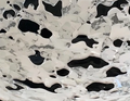 WHITE CORAL PLATTER