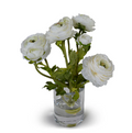 MIXED RANUNCULUS