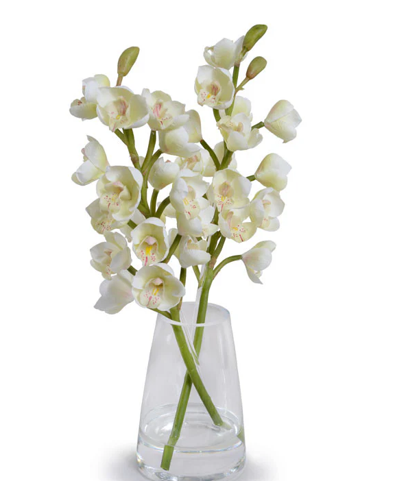CYMBIDIUM STEMS IN TAPERED VASE