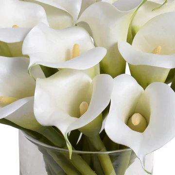 CALLA LILY ARRANGMENT
