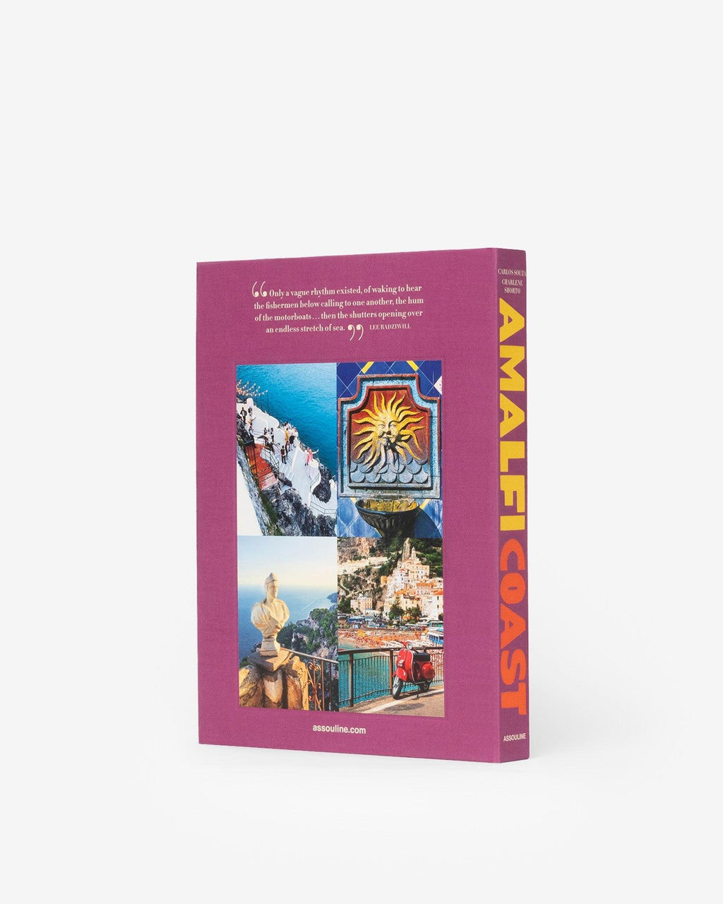 Amalfi Coast Book