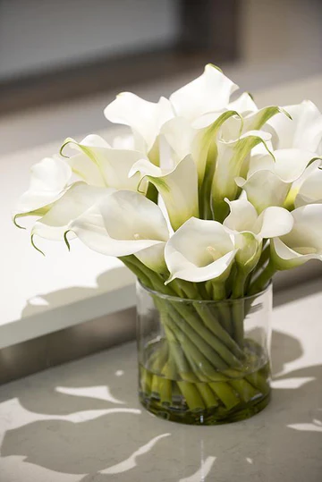 CALLA LILY ARRANGMENT