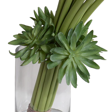 Burgundy Calla Lilies with Succulent Collar