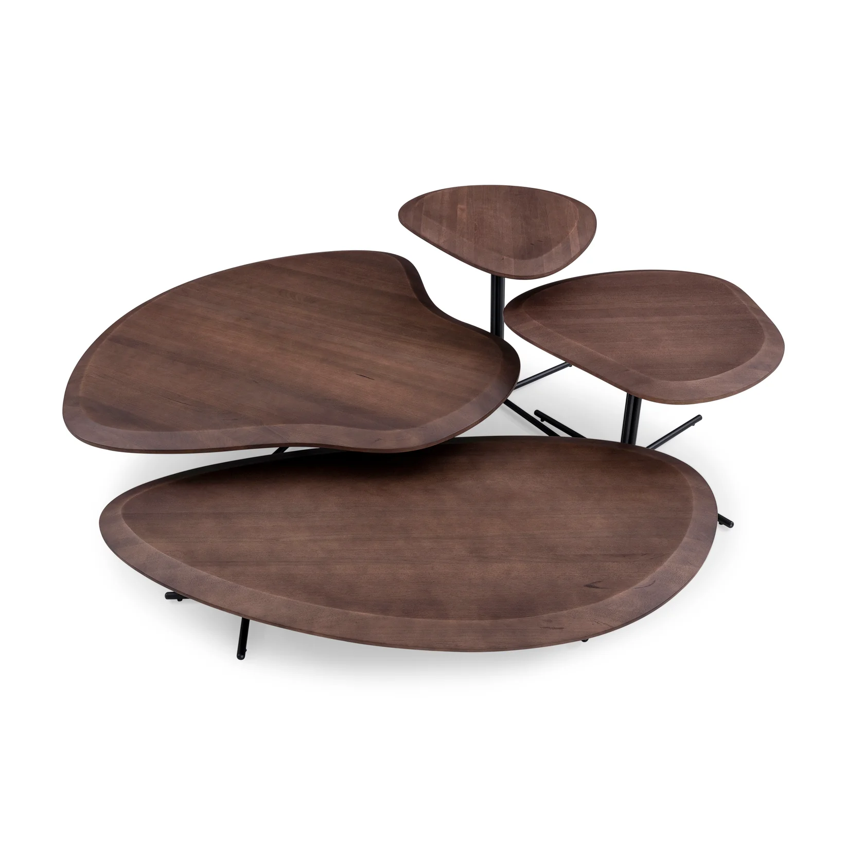 20 " PANTE COFFEE TABLE IN WALNUT AND BLACK